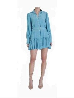 Karina Grimaldi Light Blue Button-Front Ruffle Hem Shirt Dress
